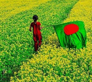 Dhaka 2016 Flag farm1
